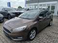 Ford Focus Business Bronze - thumbnail 2