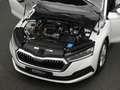 Skoda Octavia Combi 1.0 e-TSI 110 pk DSG Business Edition | Trek Blanc - thumbnail 36