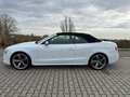 Audi A5 Cabriolet 3.0 TFSI S5 quattro Pro Line, Leder, B&O Wit - thumbnail 10