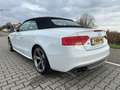 Audi A5 Cabriolet 3.0 TFSI S5 quattro Pro Line, Leder, B&O Wit - thumbnail 3