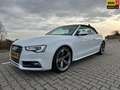 Audi A5 Cabriolet 3.0 TFSI S5 quattro Pro Line, Leder, B&O Wit - thumbnail 1
