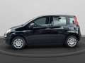 Fiat Panda 1.0 firefly hybrid s&s 70cv 5p.ti Nero - thumbnail 6