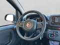 Fiat Panda 1.0 firefly hybrid s&s 70cv 5p.ti Nero - thumbnail 11