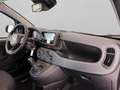 Fiat Panda 1.0 firefly hybrid s&s 70cv 5p.ti Nero - thumbnail 15