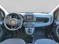 Fiat Panda 1.0 firefly hybrid s&s 70cv 5p.ti Nero - thumbnail 9