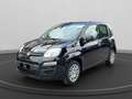 Fiat Panda 1.0 firefly hybrid s&s 70cv 5p.ti Nero - thumbnail 1