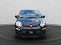 Fiat Panda 1.0 firefly hybrid s&s 70cv 5p.ti Nero - thumbnail 3
