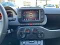 Fiat Panda 1.0 Cross MHEV 70cv Blu/Azzurro - thumbnail 11