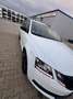 Skoda Octavia Style Weiß - thumbnail 4