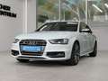 Audi S4 3.0 TFSI S tronic quattro, Inspektion Neu Weiß - thumbnail 4