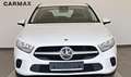 Mercedes-Benz A 200 DCT Navi,SH,Park-Paket,Apple CarPlay Bianco - thumbnail 16