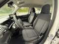 Hyundai Inster Smart Line 42kWh r5s41 P1 SitzPaket O1 Wärmep. Weiß - thumbnail 10