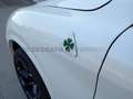 Alfa Romeo Stelvio 2017 2.9 bi-t V6 Quadrifoglio Q4 510cv auto Blanc - thumbnail 24