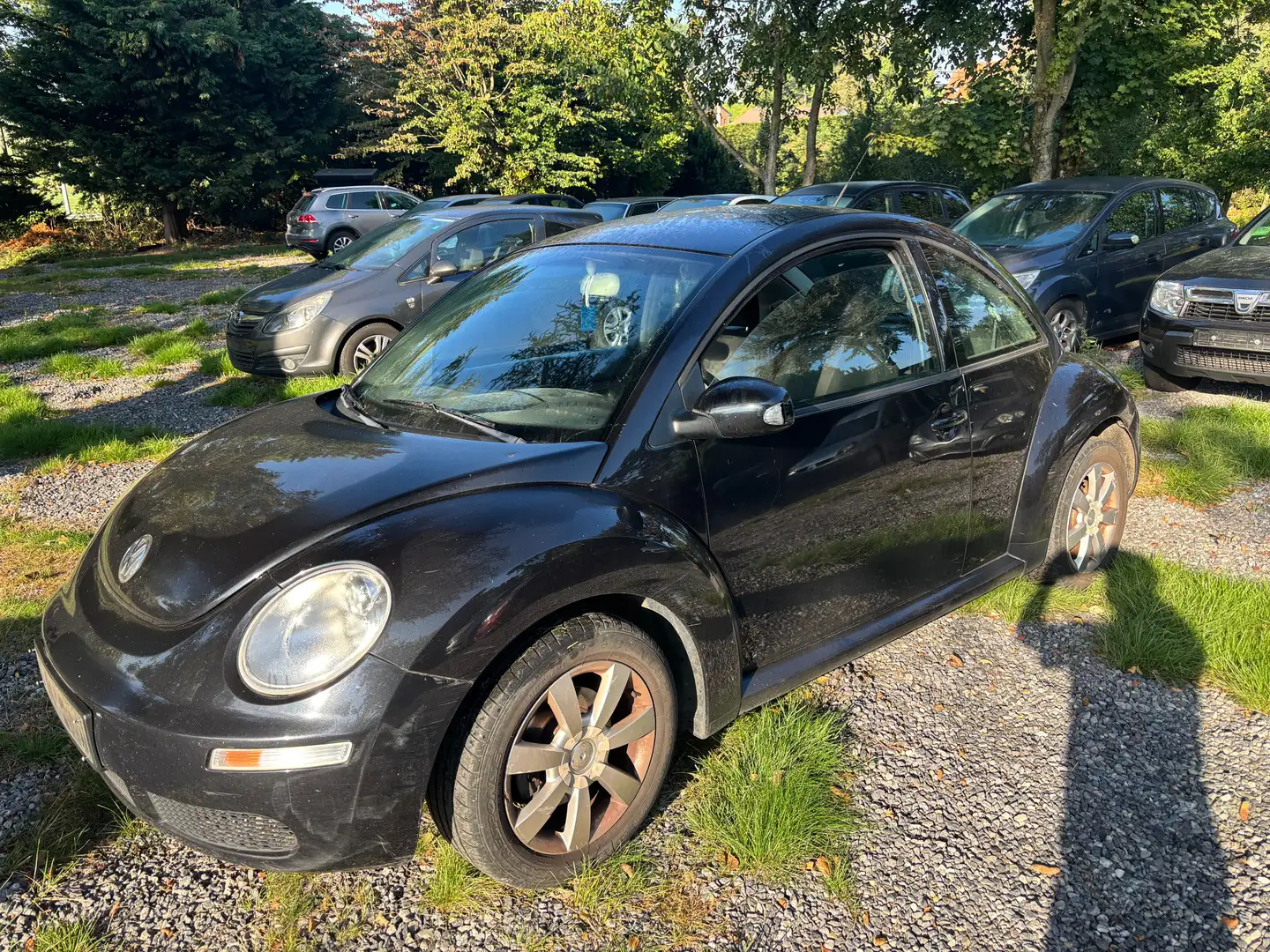 Volkswagen New Beetle New Beetle 1.9 TDi Zwart - 2