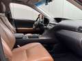 Lexus RX 450h President AdaptiveCruise Levinson HUD Trekhaak Rouge - thumbnail 24