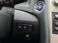 Lexus RX 450h President AdaptiveCruise Levinson HUD Trekhaak Rouge - thumbnail 26