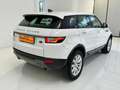 Land Rover Range Rover Evoque Range Rover Evoque I 2016 5p 2.0 td4  150cv auto Bianco - thumbnail 5