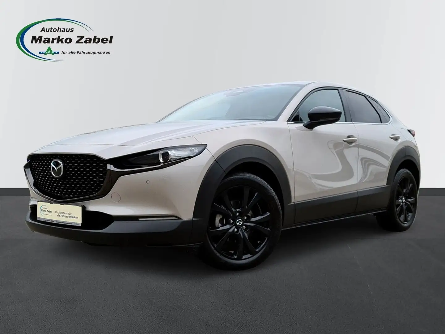 Mazda CX-30 2.0 MHEV Automatik Nagisa Bose Leder Grau - 1