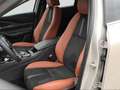 Mazda CX-30 2.0 MHEV Automatik Nagisa Bose Leder Grau - thumbnail 10
