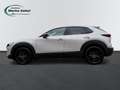 Mazda CX-30 2.0 MHEV Automatik Nagisa Bose Leder Grau - thumbnail 2