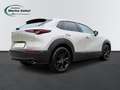 Mazda CX-30 2.0 MHEV Automatik Nagisa Bose Leder Grau - thumbnail 5