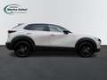 Mazda CX-30 2.0 MHEV Automatik Nagisa Bose Leder Grau - thumbnail 6