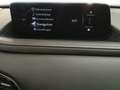 Mazda CX-30 2.5 Aut. Homura HEADUP NAVI KAMERA SHZ LHZ Grau - thumbnail 10