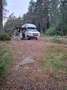 Volkswagen T4 California Westfalia Camper Wit - thumbnail 4