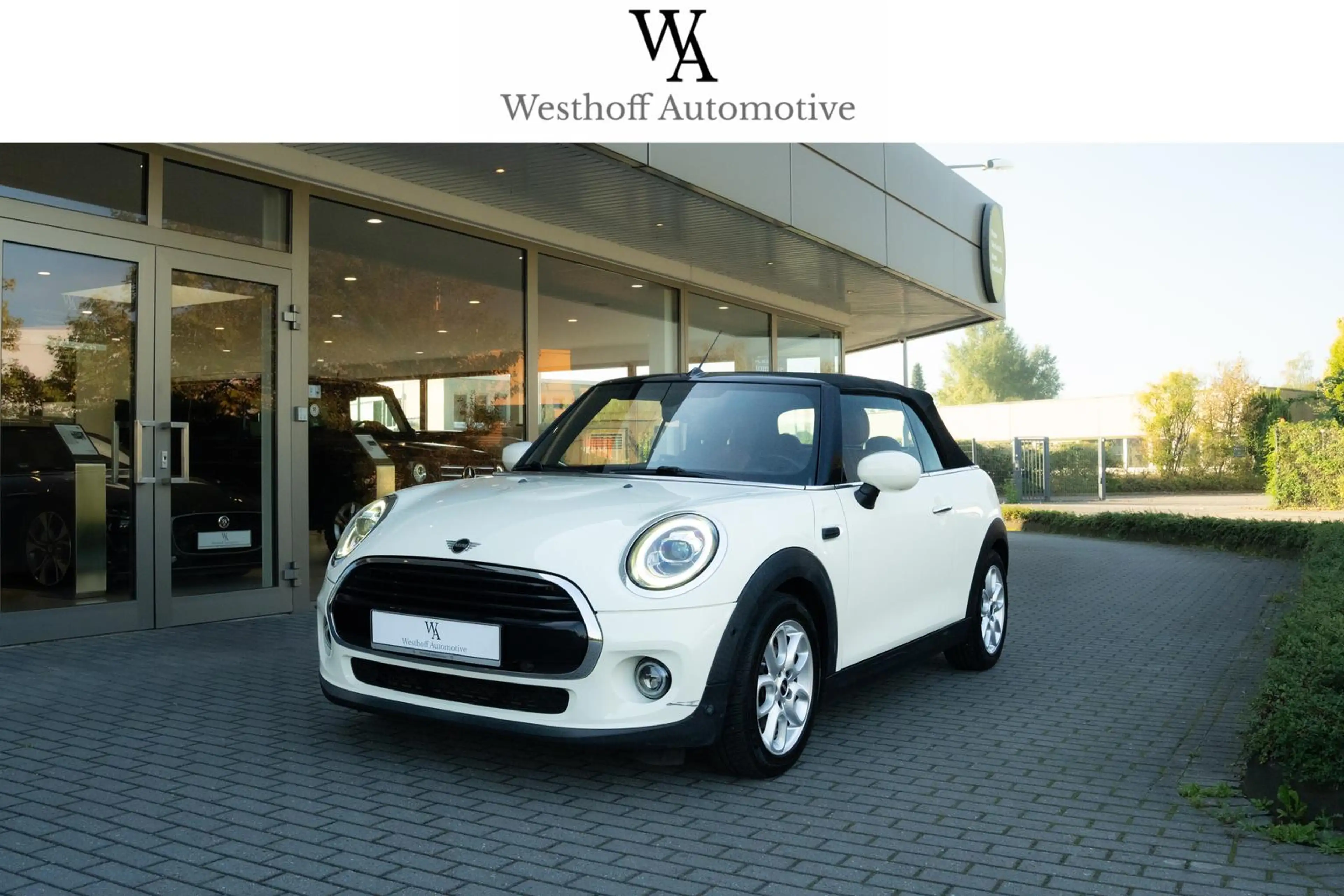MINI Cooper Cabrio LED Leder Chester Navi CarPlay SHZ