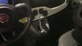 Fiat Panda 1.0 FireFly 70cv S&S Hybrid Pandina Grün - thumbnail 18