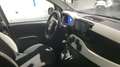 Fiat Panda 1.0 FireFly 70cv S&S Hybrid Pandina Grün - thumbnail 11