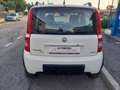 Fiat Panda 1.2 4x4 Climbing Blanco - thumbnail 6