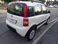 Fiat Panda 1.2 4x4 Climbing Blanco - thumbnail 7