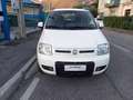 Fiat Panda 1.2 4x4 Climbing Blanco - thumbnail 2