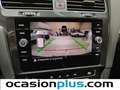 Volkswagen Golf 1.6TDI Advance 85kW Gris - thumbnail 7
