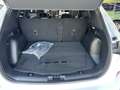 Ford Kuga 2,5 Duratec PHEV ST-Line X Aut. Weiß - thumbnail 15