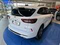 Ford Kuga 2,5 Duratec PHEV ST-Line X Aut. Weiß - thumbnail 2