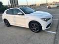 Alfa Romeo Stelvio 2.2 Veloce Q4 210 Aut. Blanco - thumbnail 18