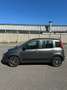Fiat Panda 1.3 mjt 16v Trekking s&s 95cv - thumbnail 3