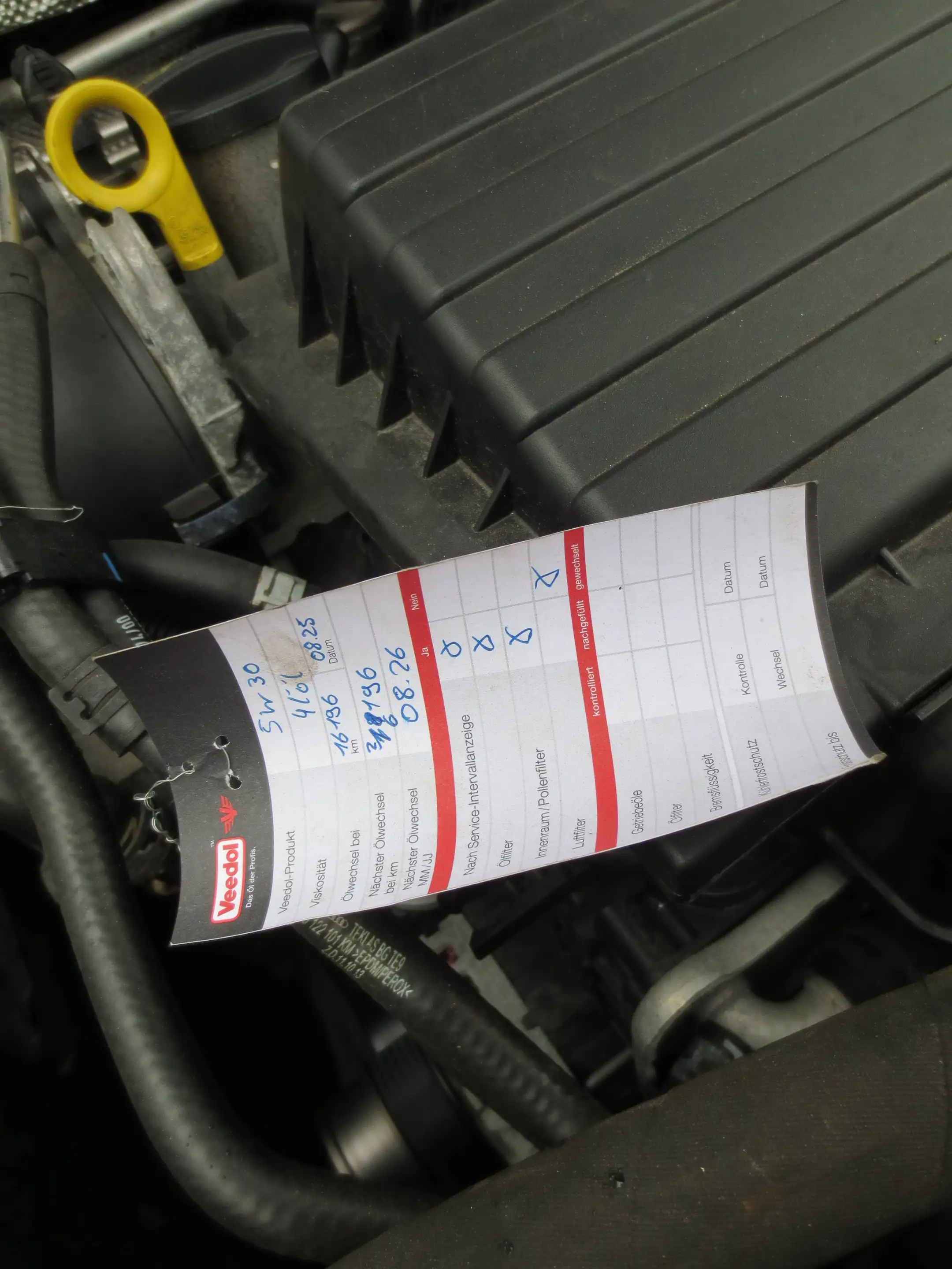 Volkswagen Beetle Sound — photo 15