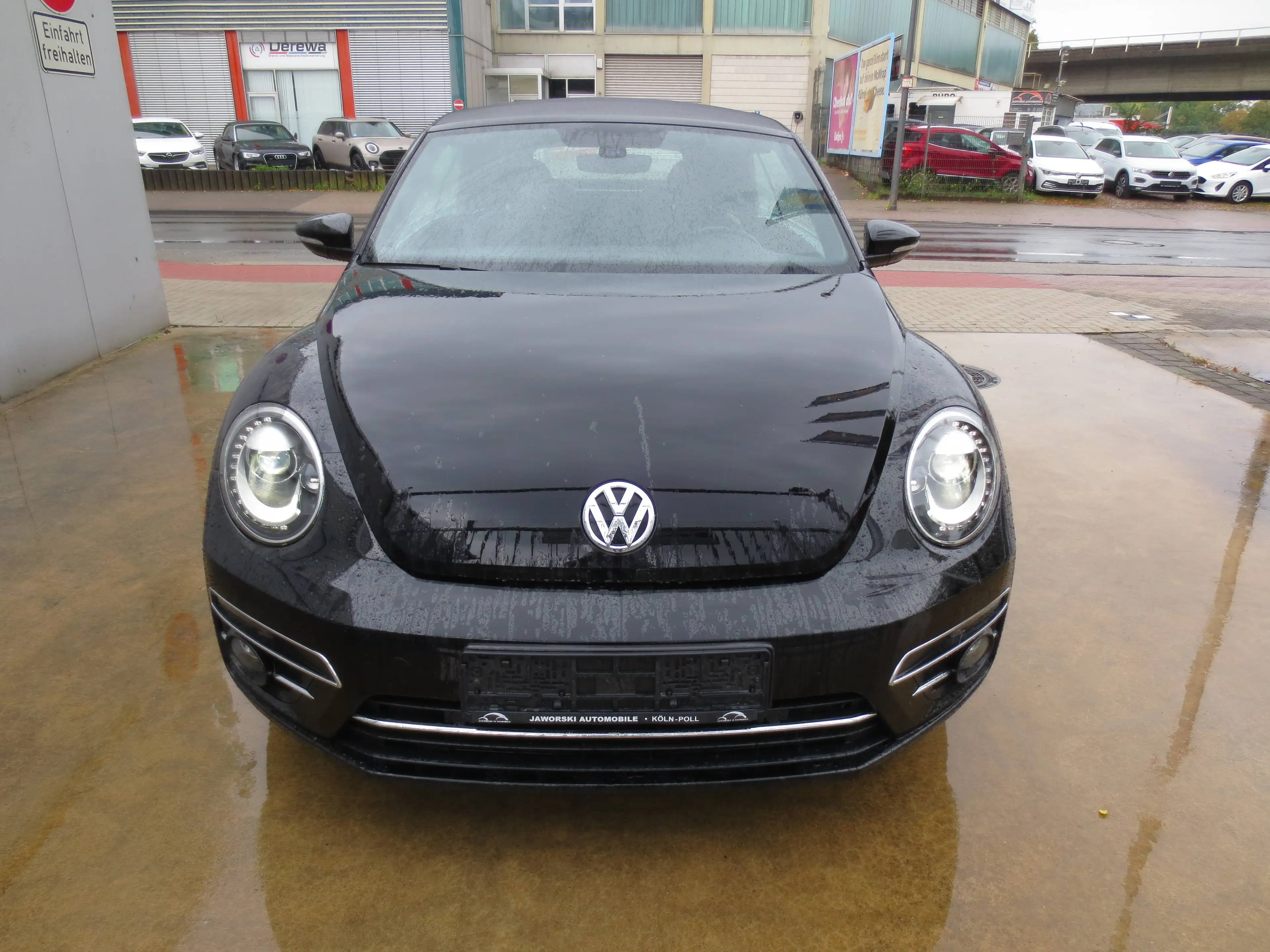 Volkswagen Beetle Sound — photo 13