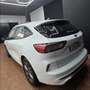 Ford Kuga 2.5 Duratec FHEV ST-Line 4x2 Aut. Blanco - thumbnail 26
