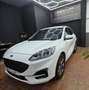 Ford Kuga 2.5 Duratec FHEV ST-Line 4x2 Aut. Blanco - thumbnail 1