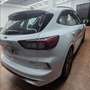 Ford Kuga 2.5 Duratec FHEV ST-Line 4x2 Aut. Blanco - thumbnail 25