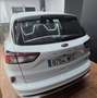 Ford Kuga 2.5 Duratec FHEV ST-Line 4x2 Aut. Blanco - thumbnail 27