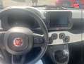 Fiat Panda Classic 1.0 70ch BSG S\u0026S Pandina crna - thumbnail 17