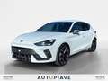 CUPRA Leon Leon 2.0 TDI 150 CV DSG Blanc - thumbnail 1