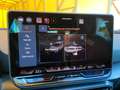 CUPRA Leon Leon 2.0 TDI 150 CV DSG Blanc - thumbnail 26