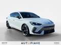 CUPRA Leon Leon 2.0 TDI 150 CV DSG Blanc - thumbnail 7