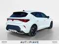 CUPRA Leon Leon 2.0 TDI 150 CV DSG Blanc - thumbnail 5